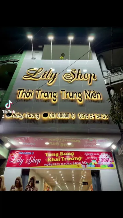 shop quần áo lily  đầm dạ hội cao cấp - cửa hàng quần áo
