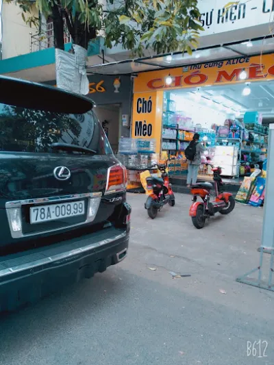 shop thú cưng và phụ kiện - alice tuy hòa - nhà dinh dưỡng học