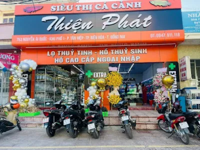 siêu thị cá cảnh thiện phát - văn phòng công ty