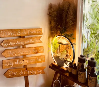 spa - gội đầu dưỡng sinh - massage phan thiết - thanh lee - cửa hàng chăm sóc sức khỏe và làm đẹp spa - gội đầu dưỡng sinh - massage phan thiết - thanh lee - cửa hàng chăm sóc sức khỏe và làm đẹp