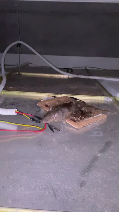 sửa chữa điện lạnh - dịch vụ sửa chữa điều hòa