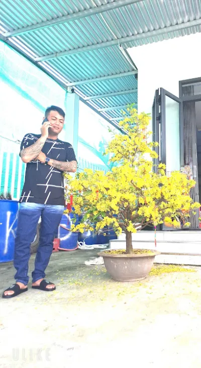 sửa xe tý hòa bình - cửa hàng sửa chữa xe máy