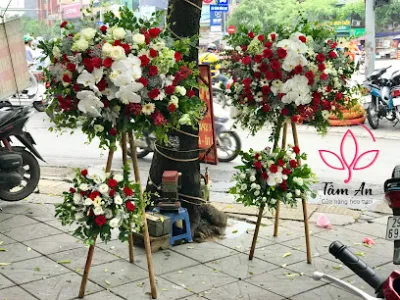 tâm an flowers - cung cấp các sản phẩm hoa tươi bán lẻ, hoa sự kiện, văn phòng - cửa hàng hoa