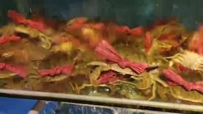 tăng tiến - nhà hàng buffet hải sản wang - nhà hàng hải sản