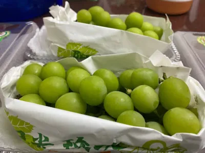 tạp hóa h&h - cửa hàng tạp hóa