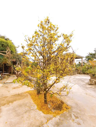 tạp hoá thư tâm - cửa hàng bách hóa