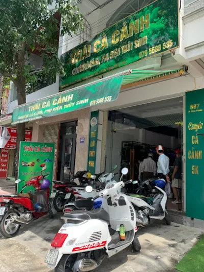 thái cá cảnh - cửa hàng đồ cá cảnh