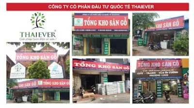 thaiever  tổng kho sàn gỗ vĩnh phúc - văn phòng công ty