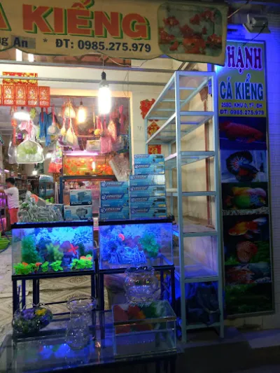 thạnh bán cá kiểng - cửa hàng cá nhiệt đới