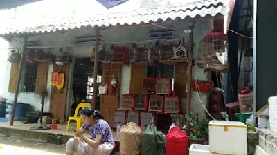 thành lộc - điểm dãi chim - cửa hàng tạp phẩm thành lộc - điểm dãi chim - cửa hàng tạp phẩm