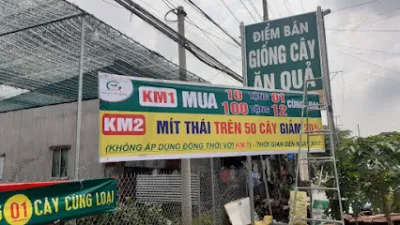 thế giới cây giống châu phú - dịch vụ nông nghiệp