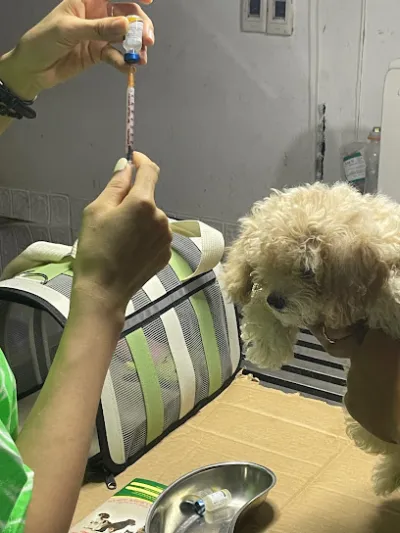 thế giới thú cưng đà nẵng - bệnh viện thú y