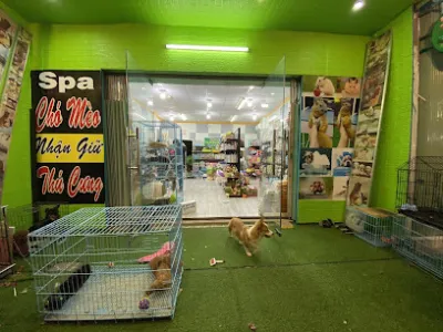 the pet shop tây ninh - cửa hàng vật nuôi