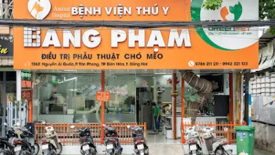 thú y biên hoà bệnh viện thú y bằng phạm biên hoà - bệnh viện thú y