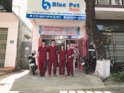 thú y blue pet care - phòng khám thú cưng buôn ma thuột - dịch vụ cấp cứu thú y