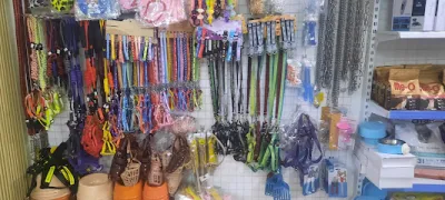 thu y ngoc nhu - bác sĩ thú y