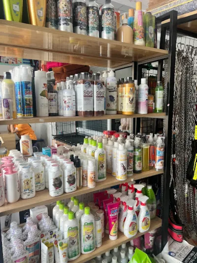 thú y - petshop - làm đẹp thú cưng : hi pet đức hòa - dịch vụ chăm sóc thú nuôi