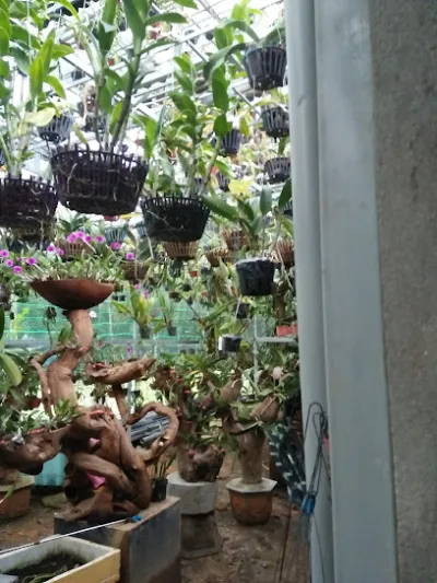 thức ăn gia cầm - tín - cửa hàng thức ăn gia súc