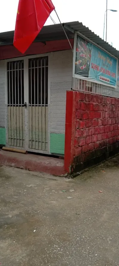 tiệm cá cảnh dương thắng - cửa hàng bán mồi câu cá