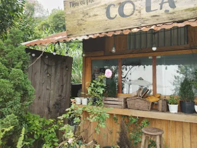 tiệm cafe cỏ lạ - quán cà phê