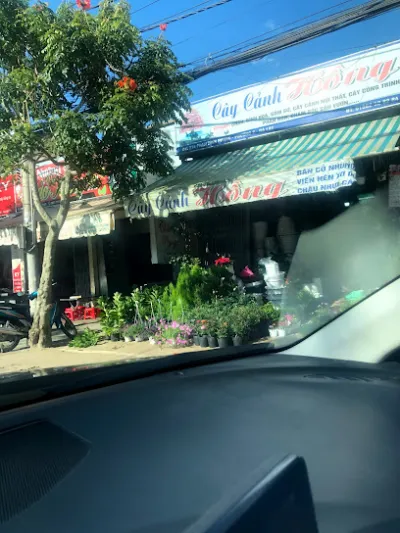 tiệm cây cảnh hồng - cửa hàng hoa
