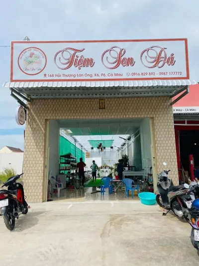 tiệm sen đá - cửa hàng quà tặng