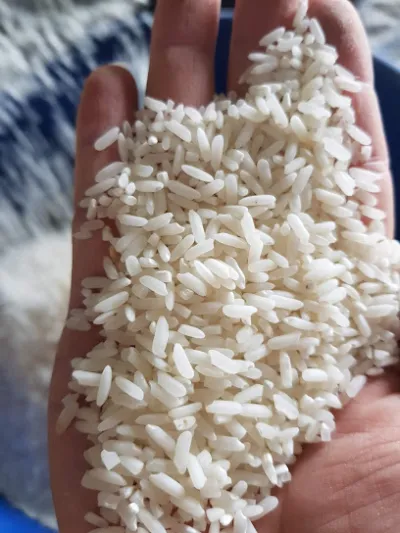 toàn điện biên - cửa hàng thực phẩm hữu cơ