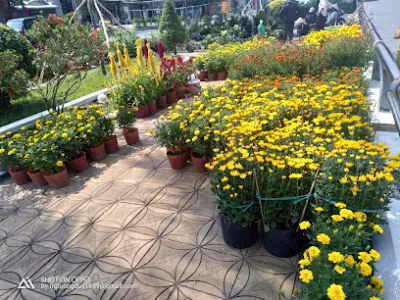 tôn hoa sen- vị thanh- hậu giang - cửa hàng vật liệu xây dựng