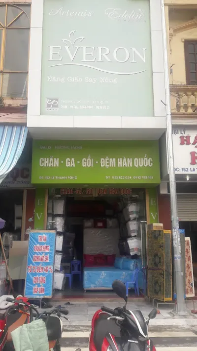 tổng đại lý chăn ga gối đệm hương hạnh everon - cửa hàng chăn đệm