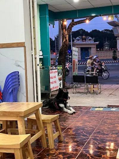 trà sữa jasmine - quán cà phê