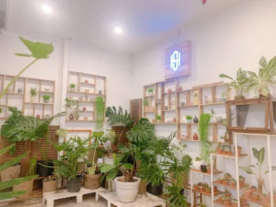 trà sữa sh milk tea coffee - trà sữa ngon giao hàng phan thiết - trà trân châu