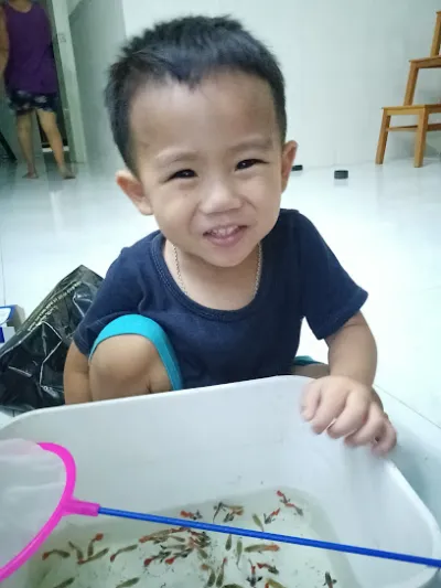 trại cá 7 màu (guppy) - cửa hàng cá cảnh