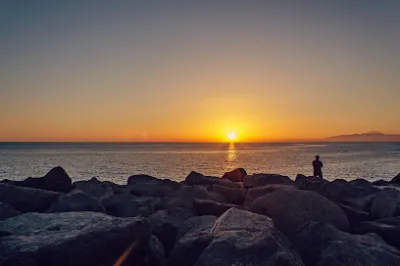 trại cá bảy màu thanh huyền - cửa hàng cá cảnh