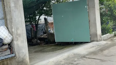 trại cá cảnh dì tư - cửa hàng vật nuôi