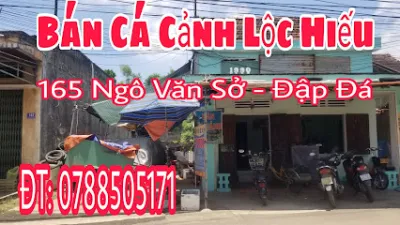 trại cá cảnh lộc hiếu - cửa hàng cá cảnh