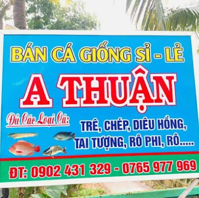 trại cá giống- cá phóng sanh a thuận - trại cá trại cá giống- cá phóng sanh a thuận - trại cá