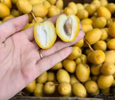 trái cây quận 3 chất lượng - dịch vụ thương mại điện tử