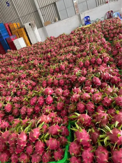 trái cây vườn sỉ lẻ