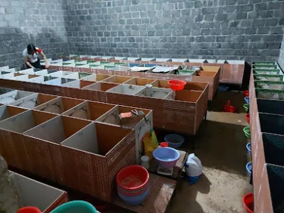 trại dúi minh hoàng - dịch vụ chăm sóc thú nuôi