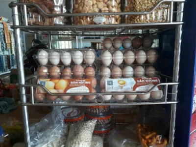 trại gà đảm nương 1 - tổ chức nông nghiệp