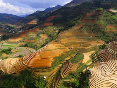 trại gia cầm nam thuận - trung tâm mua sắm trại gia cầm nam thuận - trung tâm mua sắm