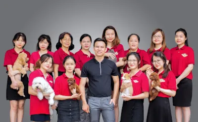 trại nhân giống chó, mèo cảnh azpet - cơ sở chó giống