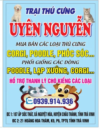 trại thú cưng uyên nguyễn - dịch vụ trông thú cưng