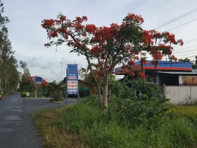 trạm xăng dầu hồng tím - trạm xăng