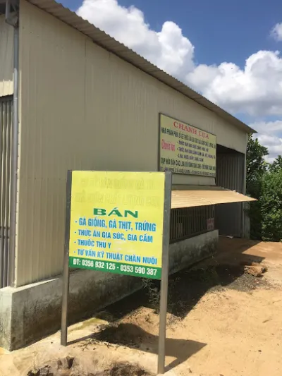 trang trại gà giống, thức ăn gia súc, ... chanh lụa - cửa hàng tạp phẩm trang trại gà giống, thức ăn gia súc, ... chanh lụa - cửa hàng tạp phẩm