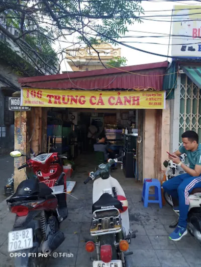 trung cá cảnh - cửa hàng cá cảnh