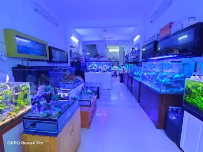 trung tâm bể cá thái hà - cửa hàng