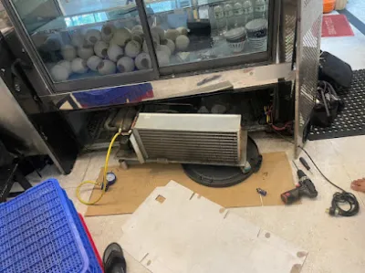 trung tâm sửa điện lạnh - điện tử suadienlanh.vn - dịch vụ sửa chữa máy lạnh