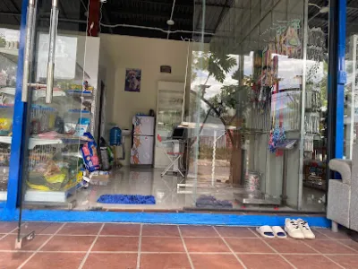 trung tâm thú cưng tam kỳ pet - bệnh viện thú y