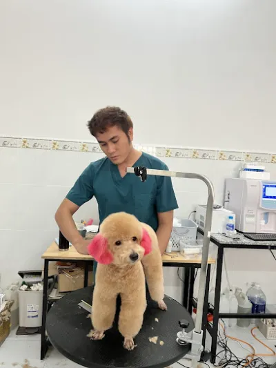 trung tâm thú y  hi pet đức hòa - bệnh viện thú y